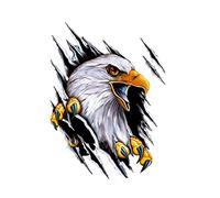 iSpchen Car Sticker 3D Eagle Sticker Cartoon Vinyl Car Sticker Car Bumper Window Personalized Decals for Motorhome, Campervan, Van 28.5 * 38cm