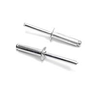 ISPINNER 100pcs 1/4" x 1" Aluminum Blind Rivets, 6.4 x 25mm Pop Rivets, Pack of 100 (Silver)