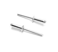 ISPINNER 100pcs 3/16" x 5/8" Aluminum Blind Rivets, 4.8 x 16mm Pop Rivets, Pack of 100 (Silver)