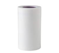 iSpring FDF1 Faucet Mount Water Filter Replacement Cartridge for DF2