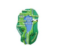 Israel 3D Sea of Galilee Fridge Magnet Souvenir Gift,Resin Handmade Israel Refrigerator Magnet Home & Kitchen Decoration Collection