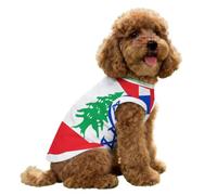 Israeli And Lebanese Flag Cute Dog Shirts Summer Ice Silk Tank Top