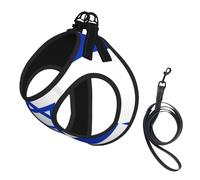 Israeli flag Print Dog Harness and Leash Set,Breathable Adjustable Escape Proof Vest for Cats Dogs