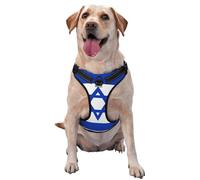 Israeli flag reflective Oxford unobstructed pet vest, easy to control handle, suitable for small, medium and large dogs