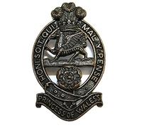 Issue PWRR Officer & OR's Bronze Cap Badge - PRINCESS of WALES'S ROYAL REGIMENT