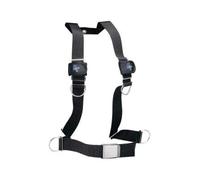 IST/Dolphin ACCJ-19 Arnes Basico HB-1 for Adults, Designed for Everyday use