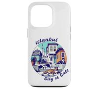 Istanbul, Turkey, City of Cats, Lazy Cats Case for iPhone 13 Pro