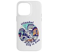 Istanbul, Turkey, City of Cats, Lazy Cats Case for iPhone 14 Pro Max