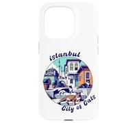 Istanbul, Turkey, City of Cats, Lazy Cats Case for iPhone 15 Pro