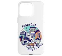 Istanbul, Turkey, City of Cats, Lazy Cats Case for iPhone 15 Pro Max