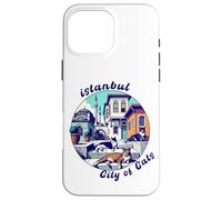 Istanbul, Turkey, City of Cats, Lazy Cats Case for iPhone 16 Pro Max
