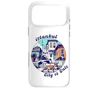 Istanbul, Turkey, City of Cats, Lazy Cats Case for iPhone 17 Pro Max