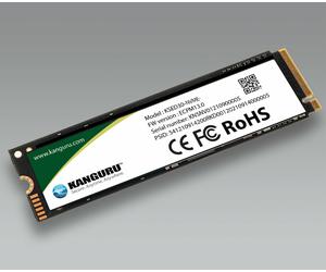 iStorage Kanguru Defender SED30™ M.2 NVMe 1TB Internal Self-Encrypting Solid State Drive| Internal NVMe PCIe M.2, 2280 NVMe Gen 4 x 4 | AES-XTS 256-bit Hardware Encryption |Ideal for Laptops, Tablets 
