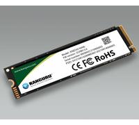 iStorage Kanguru Defender SED30 Hardware-Based Self-Encrypting Interna