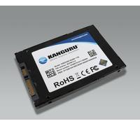 iStorage Kanguru Defender SED300 Hardware-Based Self-Encrypting Internal SATA SSD 500 GB | FIPS 140-2 Level 2 Certified | Self-Encrypting 2.5” SATA SSD |TAA Compliant