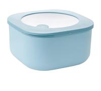 ISTOVO Lunch Box Refrigeratable Microwave Fresh-Keeping Box Visible Food Lunch Box Sealed Bowl Lunch Box A