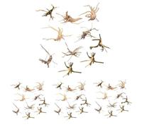 ISTOVO Mini Driftwood for Aquarium Natural Wood Branches Fish Tank Decorations Tree Trunk Driftwood Assorted(40 Pack)
