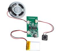 ISTOVO Programmable Sound Recorder Module-DIY Music Voice Recording Module Chip, Features Built-in Speaker for Sound Playback