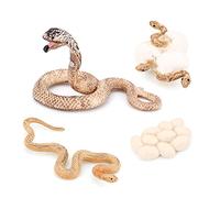 ISTOVO Realistic Animal Life Growth Cycle Biological Model Toys Snake Growth Cycle Biological Model Cobra Growth Cycle