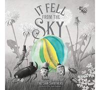 It Fell From The Sky