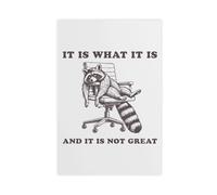 It Is What It Is And It Is Not Great Canvas Poster Bedroom Decor Landscape Office Room Decor Gift 24x36inch(60x90cm)