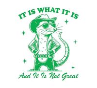 it is What it is and it is not Great Opossum Hilarious Typography Funny Animal Vintage Opossum Wall Decals PVC 41x49.5cm Wall beautification Green