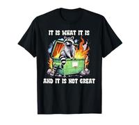 It is What It is and It is Not Great Raccoon Dumpster Fire T-Shirt