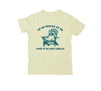 It is What It is and It is Not Great T-Shirt, It is What It is Shirt, Classic Graphic Print Unisex Tshirt