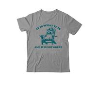 It is What It is and It is Not Great T-Shirt, It is What It is Shirt, Classic Graphic Print Unisex Tshirt Grey