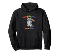 It Is What It Is And It's Gay Funny Gay Pride Meme Raccoon Pullover Hoodie
