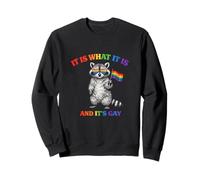 It Is What It Is And It's Gay Funny Gay Pride Meme Raccoon Sweatshirt