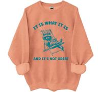 It Is What It Is And Its Not Great Sweatshirt, It Is What It Is And Its Not Great, Funny Shirts Women Man