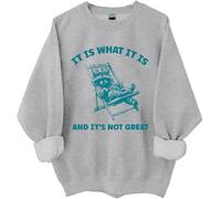 It Is What It Is And Its Not Great Sweatshirt, It Is What It Is And Its Not Great, Funny Shirts Women Man Grey
