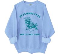 It Is What It Is And Its Not Great Sweatshirt, It Is What It Is And Its Not Great, Funny Shirts Women Man Sky Blue