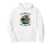 It Is What It Is Not Great Raccoon Dumpster Fire Pullover Hoodie