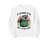 It Is What It Is Not Great Raccoon Dumpster Fire Sweatshirt