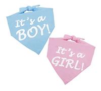 It’s a Boy or It’s a Girl Dog Bandana Pregnancy Announcement Dog Bandana Baby Announcement Triangle Pet Scarf Scarves Gender Reveal Photo Prop