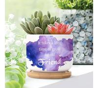 It Takes A Long Time to Grow An Old Friends Ceramic Planters Literary Quote Planters for Indoor Plants With Drainage Holes And Saucers Pot For Home Office Decoration