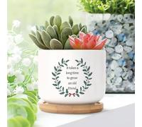 It Takes A Long Time to Grow An Old Friends Planters Ceramic Motivational Quote Round Flower Pot With Drainage Holes And Bamboo Tray Pot For Home Office Decoration