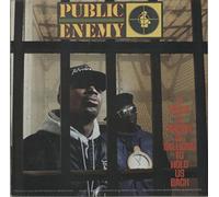 It Takes a Nation of Millions to Hold Us Back [VINYL]