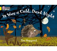 Collins Big Cat â It Was a Cold Dark Night: Band 03/Yellow (Paperback)