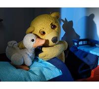 It Was A Duck And Stormy Night