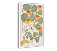 ITADGF Nouveau Flowers Nasturtium Botanical Illustration Cottagecore Canvas Poster Wall Art Print Picture Paintings 16x24inch(40x60cm)