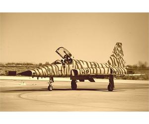 Italeri 2827 US Northrop F-5E Tiger II (1:48 Scale)