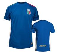 ITALIA FIGC Official Football Jersey. Technical T-Shirt with Regular Fit for Men, Boys and Children.