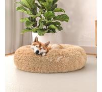 Italian Bed Linen Dreams Soft Vanilla Pet Bed for Dogs and Cats, 60 x 60 cm