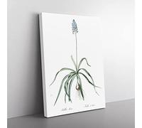 Italian Bluebell Flower By Pierre Joseph Redoute Vintage Canvas Wall Art Print Ready to Hang, Framed Picture for Living Room Bedroom Home Office Décor, 76x50 cm (30x20 Inch)