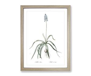 Italian Bluebell Flower By Pierre Joseph Redoute Vintage Framed Print | A3 Oak Framed Wall Art | Ready to Hang | Classic Floral Picture | Living Room Bedroom Lounge Office