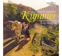 Italian Classical Consort; Lui - Kummer: Chamber Music For W