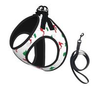 Italian Flag Map Adjustable Dog Walking Harness Breathable Pet Safety Vest With Reflective Strips For Small Pet